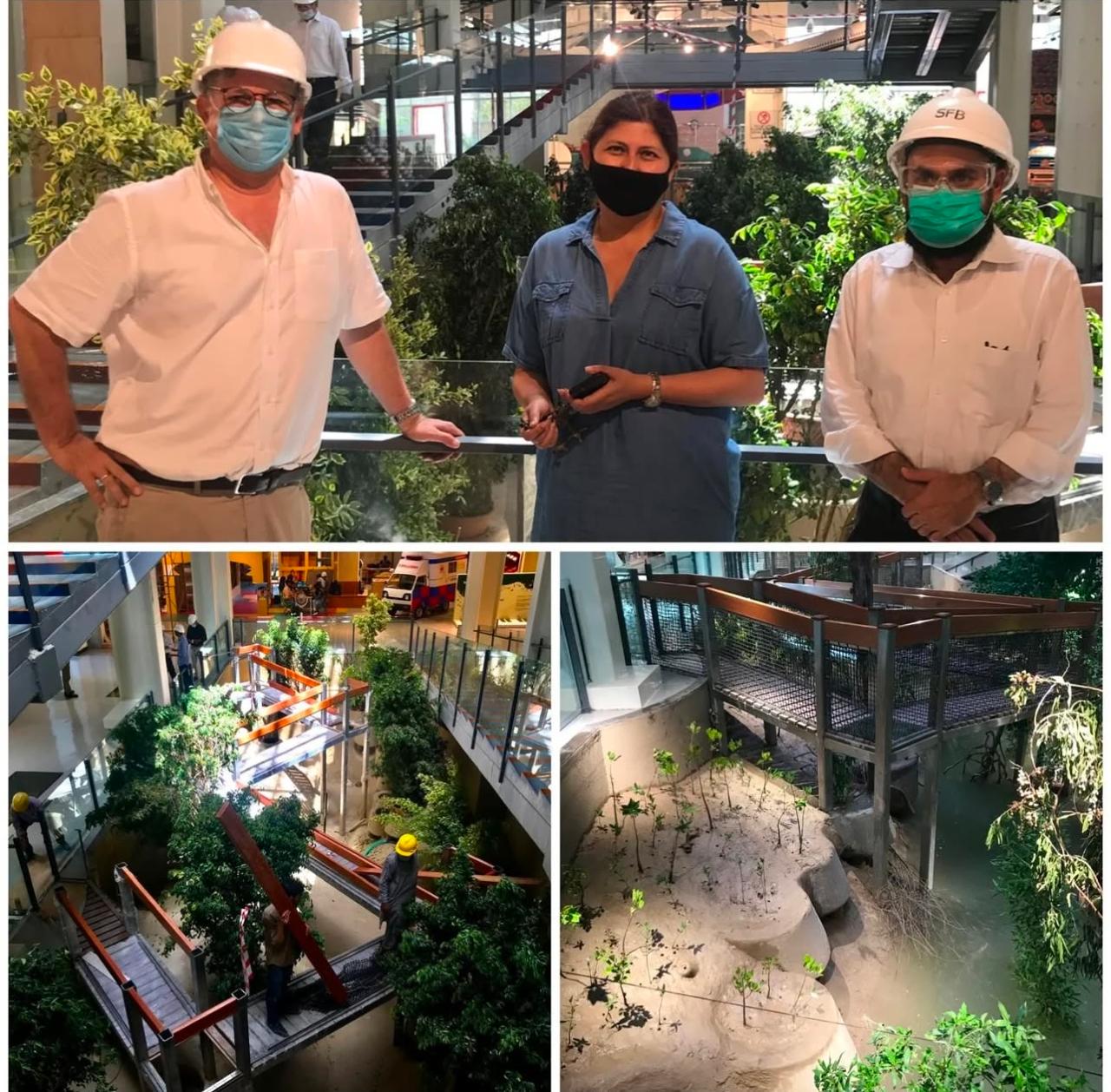 Mangrove Exhibit wins IAP Design Excellence Award